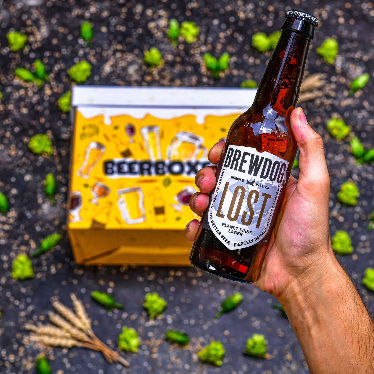 BeerBOXEO plné prémiových ležáků a masa vol.2