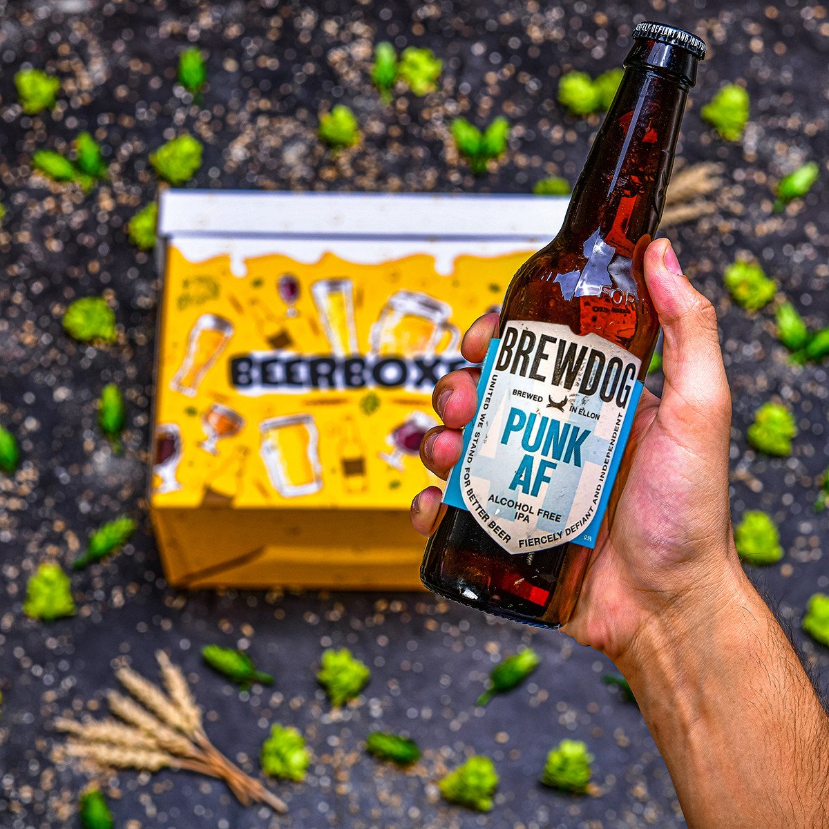 BeerBOXEO plné NEALKO pivních speciálů s pivním Tričkem vol. 2