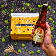 BeerBOXEO plné pivních speciálů s pivním Hrnkem vol.2